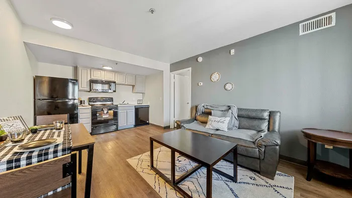Inviting open-plan living room with modern kitchen and cozy furnishings, featuring sleek appliances and stylish decor.