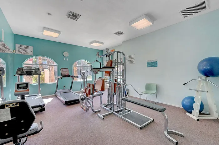 Bright and inviting apartment gym with modern equipment, including treadmills, weight machines, and yoga balls, set against soothing teal walls with natural light streaming through arched windows.
