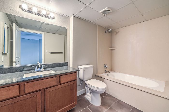 Modern bathroom featuring a sleek granite countertop, elegant mirror lighting, and spacious bathtub for relaxation.