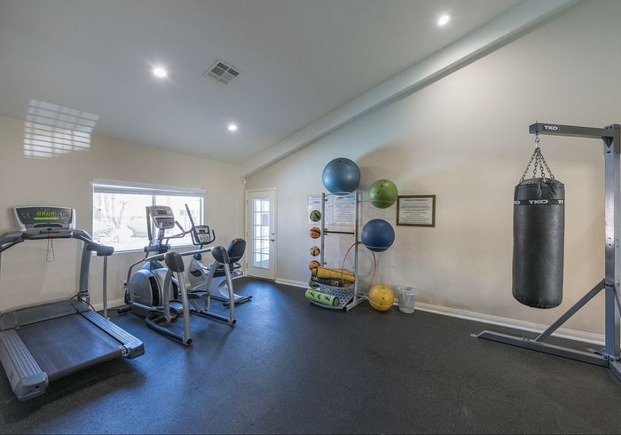 Bright and inviting home gym featuring modern exercise equipment, punching bag, and vibrant fitness balls.