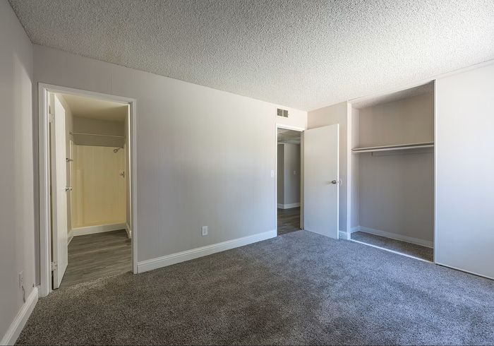 Light-filled bedroom with plush carpeting, spacious closet, and adjoining bathroom in a modern apartment.