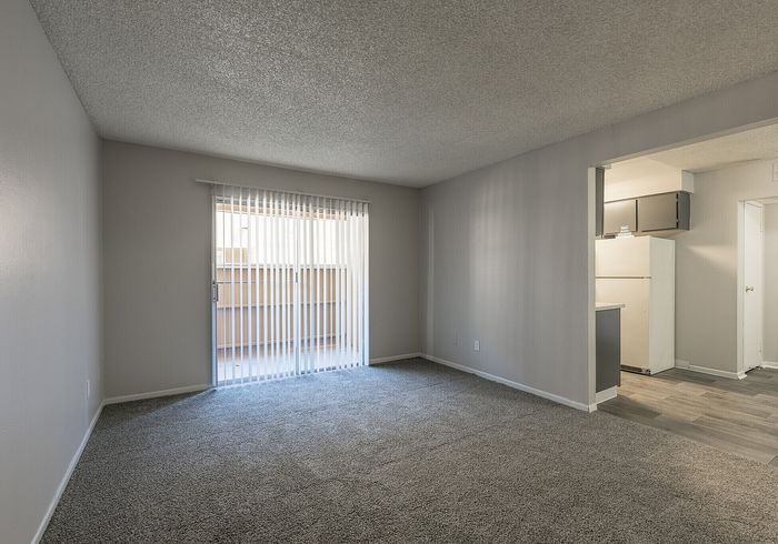 Spacious living room with plush carpet, natural light from large sliding glass doors, and an open view into a modern kitchen area.
