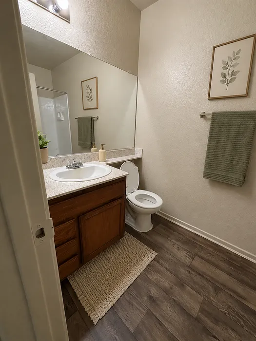 Chic bathroom with elegant design, featuring a sleek vanity, stylish mirror, and soothing decor accents.