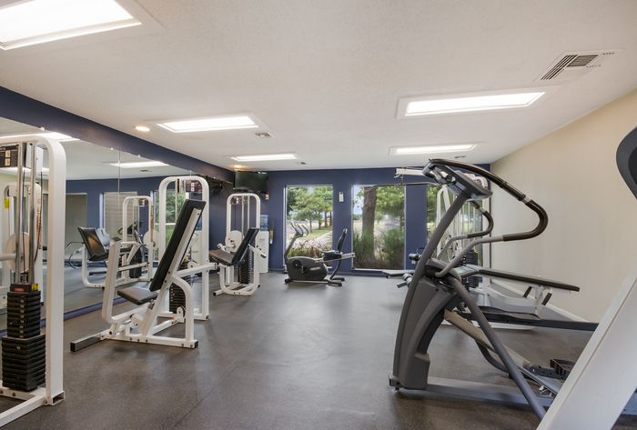 Contemporary fitness center with state-of-the-art gym equipment and serene outdoor views.