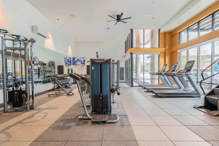Cardio and weight stations in fitness center looking out large windows in light-filled space