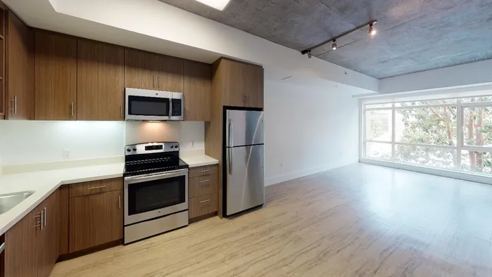 Image of kitchen and living area