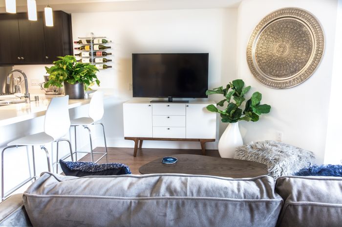 Living room area with couch and television at the Arroyo Residences in Walnut Creek