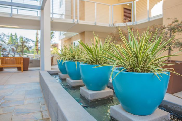 water feature with plants in outdoor courtyard at the arroyo residences in walnut creek