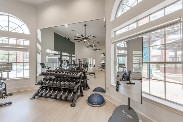 weight equipment and large windows in fitness center at Alister Galleria apartments in houston texas