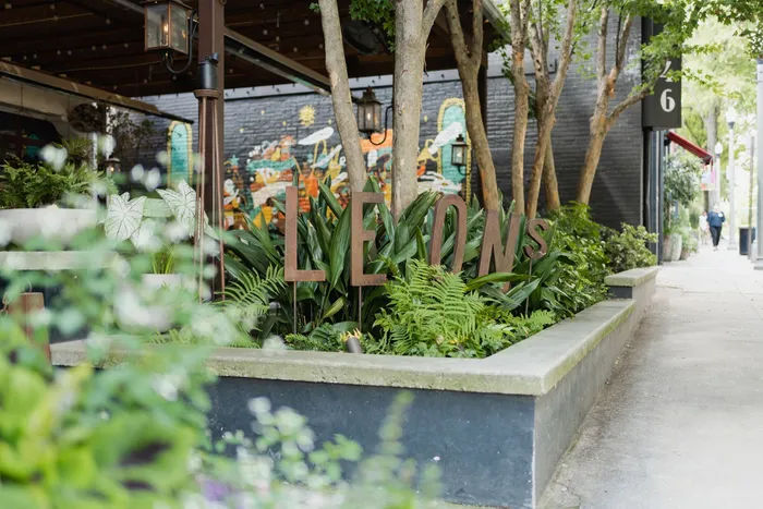 greenery and plants at modera decatur apartments georgia neighborhood retail