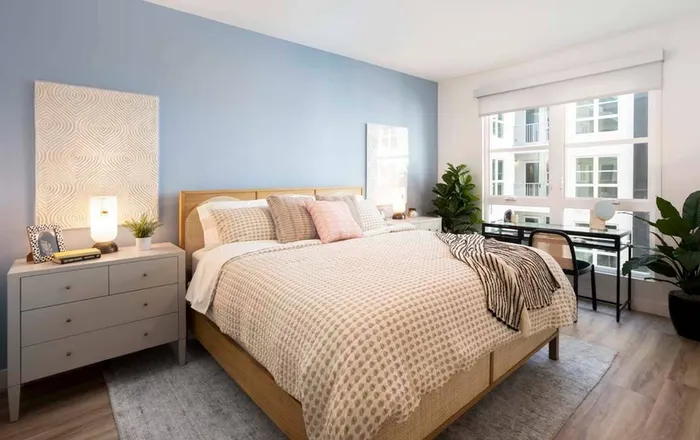 Spacious bedroom with oversized windows and roller shade, wood plank-style flooring, and plenty of space at a Modera San Diego apartment.
