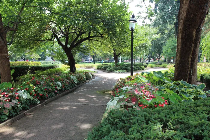 Shaded recreational trail at Speedwell Lake Park