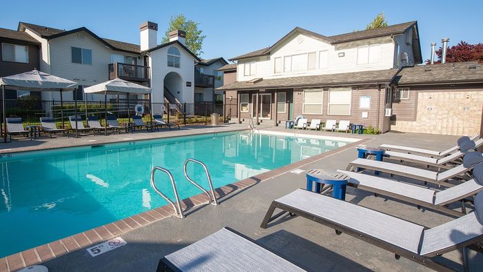 Sparkling Swimming Pool with Chaise Loungers
