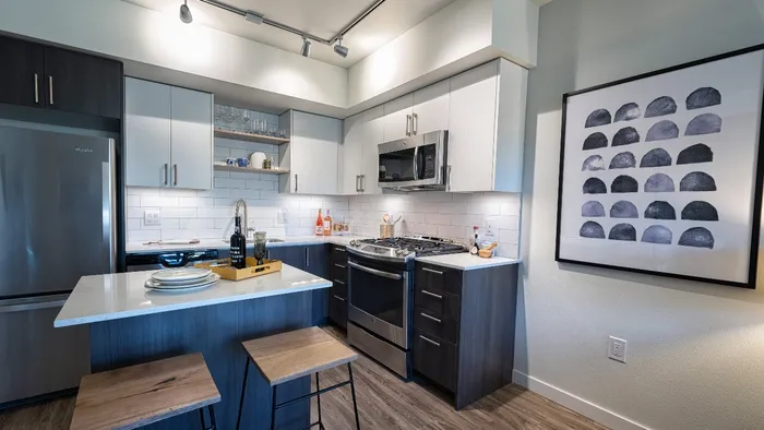 Furnished kitchen with modern cabinetry