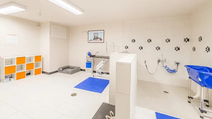 Brightly Finished Dog Washing Area