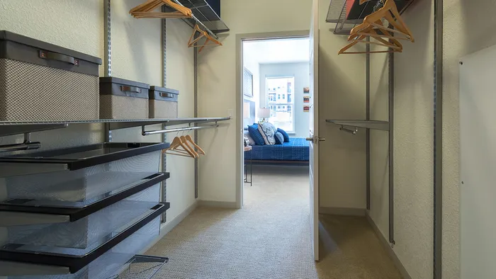 Container Store Closet Systems in Select Homes