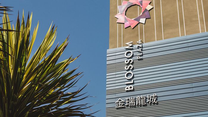 Exterior building sign reading Blossom Plaza