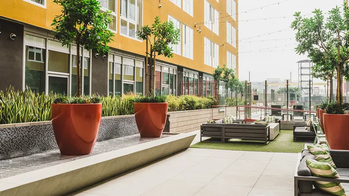 Outdoor courtyard with potted plants