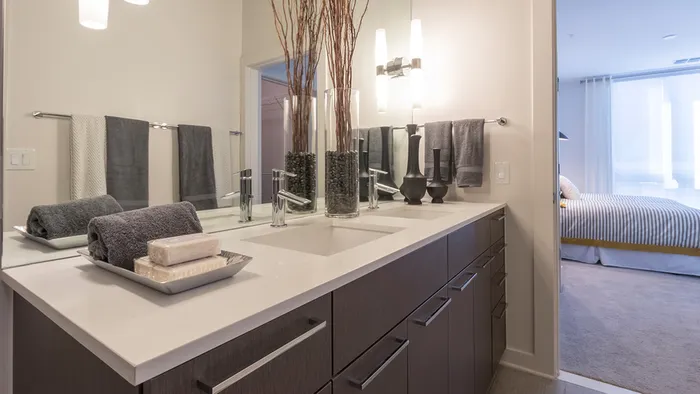 Master Bath Vanity with Quartz Countertops