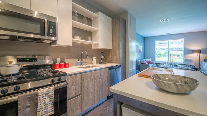 Stainless Appliances and Custom Cabinetry