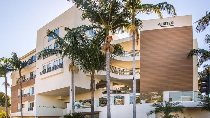 Exterior of building with large palm trees and Pool