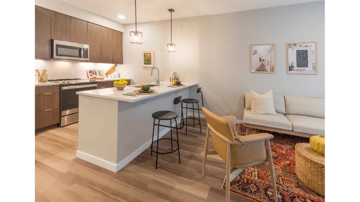 Spacious Living Room and kitchen with Quartz counters with porcelain tile backsplashes Custom 42” cabinets with soft close doors and under cabinet lighting