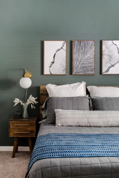 bedroom with plush carpeting and premium finishes at alister oak hill apartments austin texas