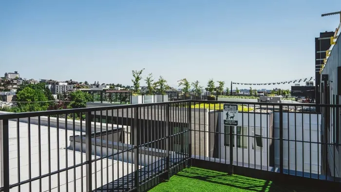 Rooftop dog run at Modera Broadway looks over the city and the rest of the rooftop at Modera Broadway apartments.