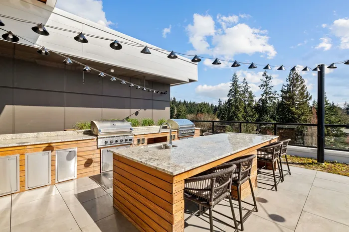 rooftop grilling stations with city and mountain views
