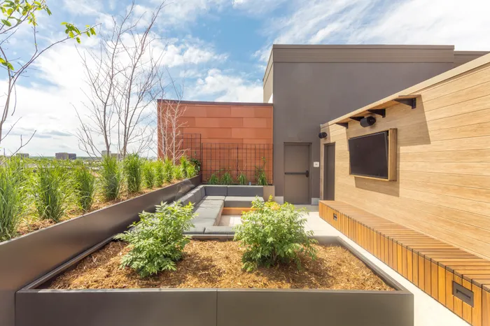 lush landscaping and seating for outdoor tv  modera cherry creek apartment homes for rent in denver colorado