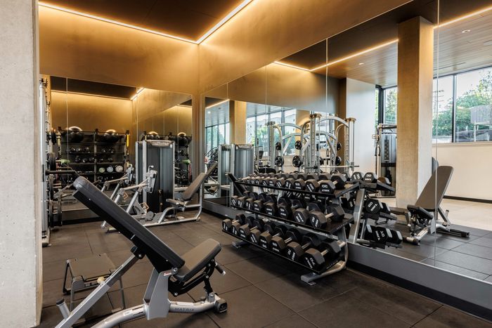 HIIT inspired fitness studio with free weights