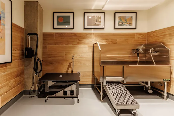pet friendly apartments with pet washing station