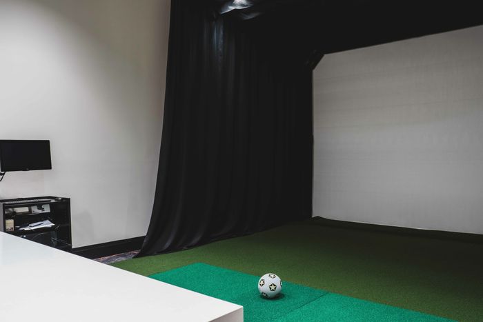 golf simulator in game room