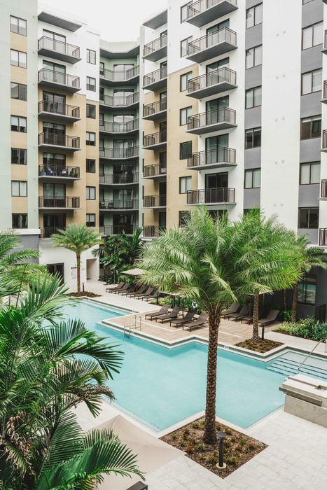 pool with palm trees and lush landscaping surrounding in courtyard
