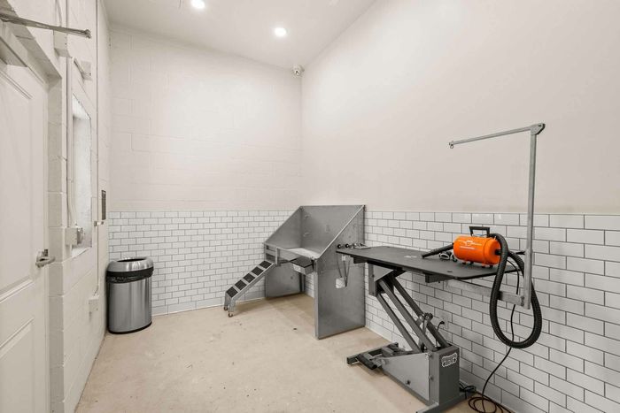 Convenient pet washing station with grooming table and lifted pet bath and stairs