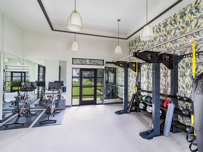 TRX wall for perfect home workouts