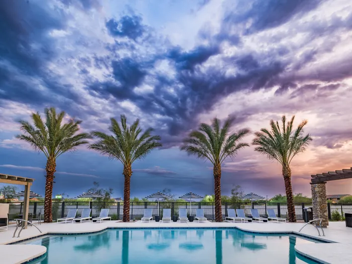 outdoor swimming pool at sunset with desert foliage at amavi aster ridge single family homes for rent in phoenix az