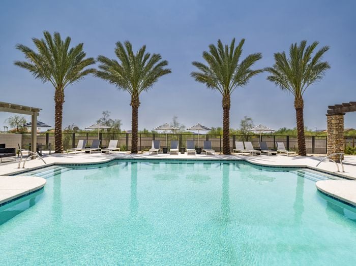 swimming pool lined with palm trees on sunny day at amavi aster ridge single family homes for rent in phoenix az