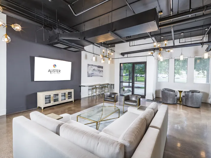 clubroom space with couch and television alister uptown apartment homes for rent in charlotte nc