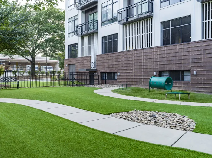 pet park with sidewalk and green turf alister uptown apartment homes for rent in charlotte nc