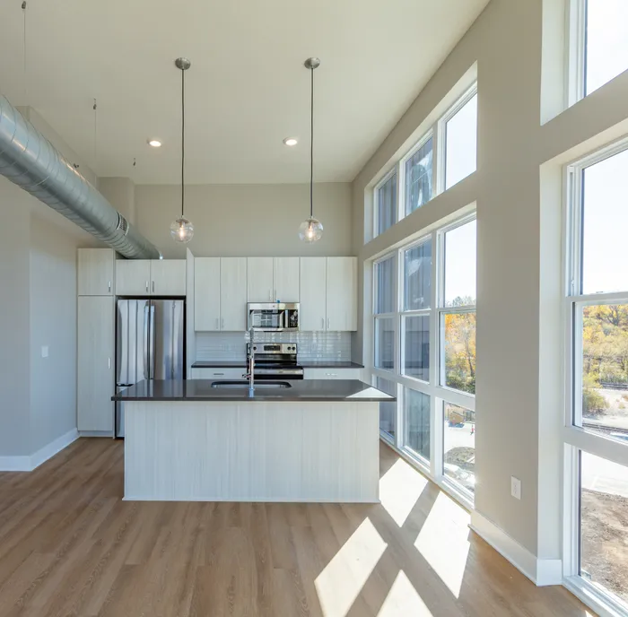 Kitchens with Natural Lighting