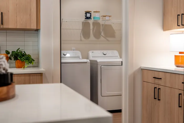 Washer & Dryer in Home