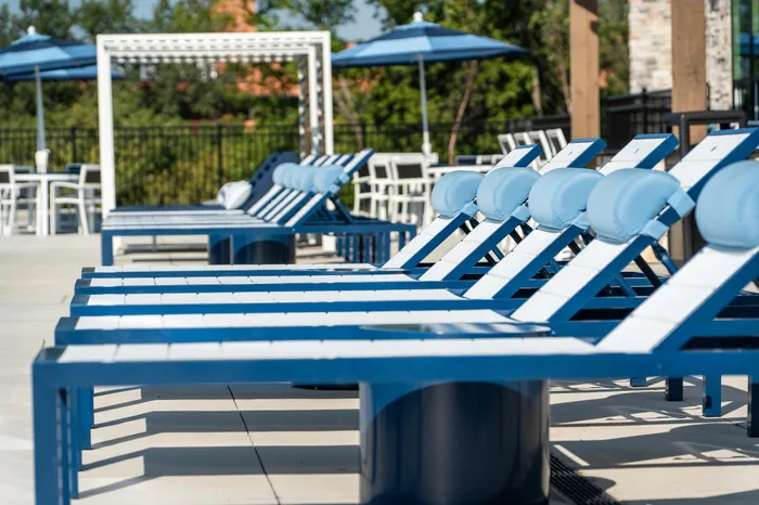 Pool Loungers