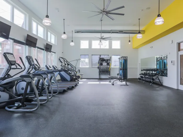 The Gym