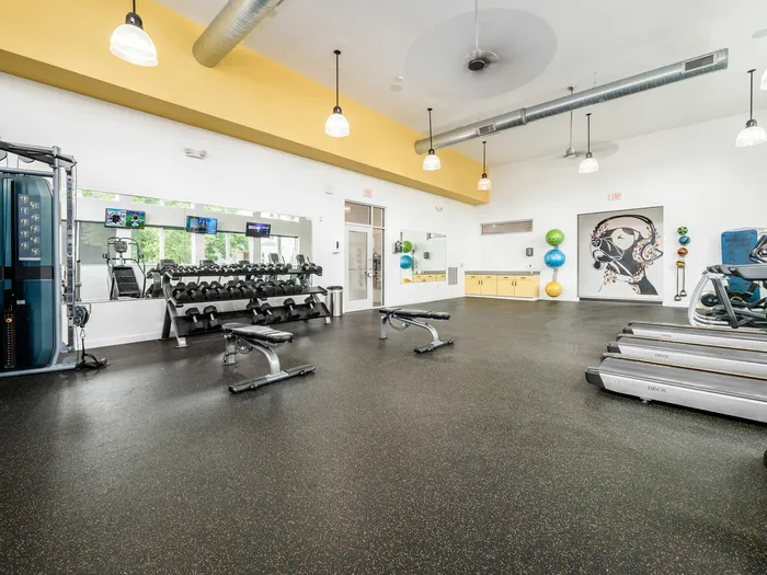 The Gym