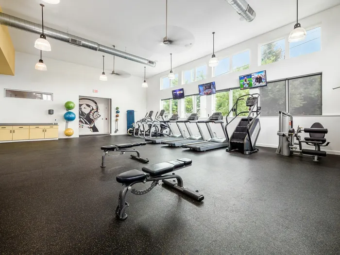 The Gym