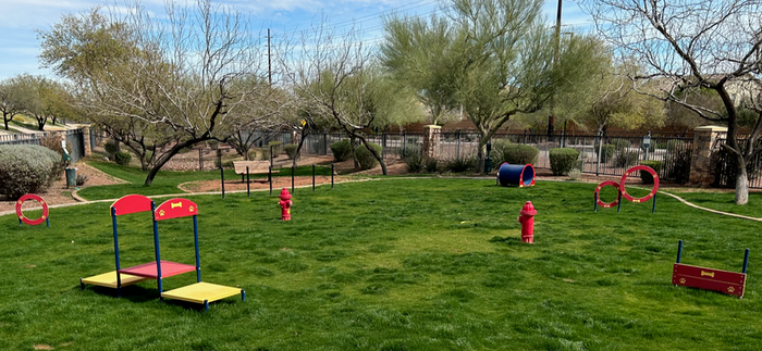 Dog Park