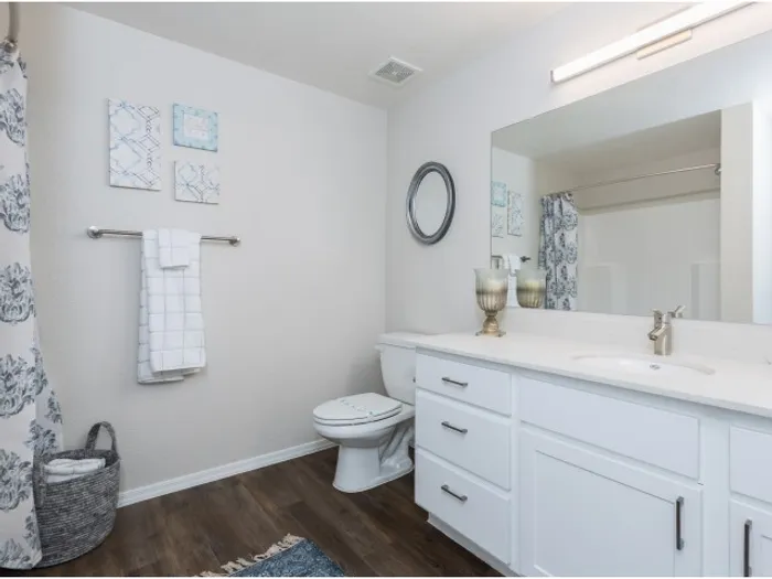 Spacious Bathroom Layouts At Montero @ Dana Park Apartments in Mesa, AZ