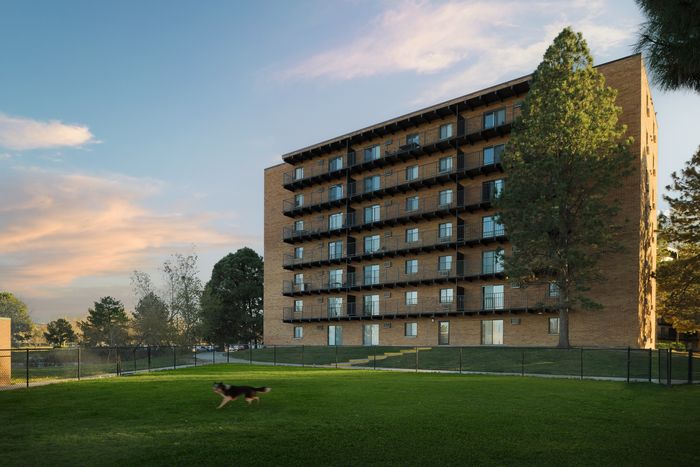 Dog park