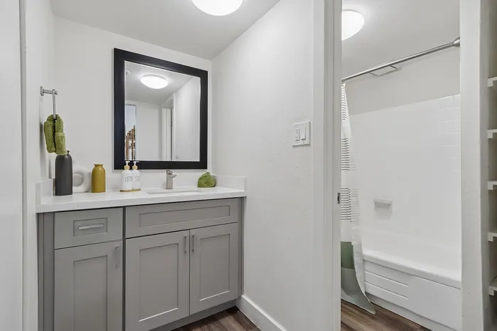 Elegant bathroom featuring a modern vanity with a large framed mirror, stylish fixtures, and a relaxing bathtub with a curtain.